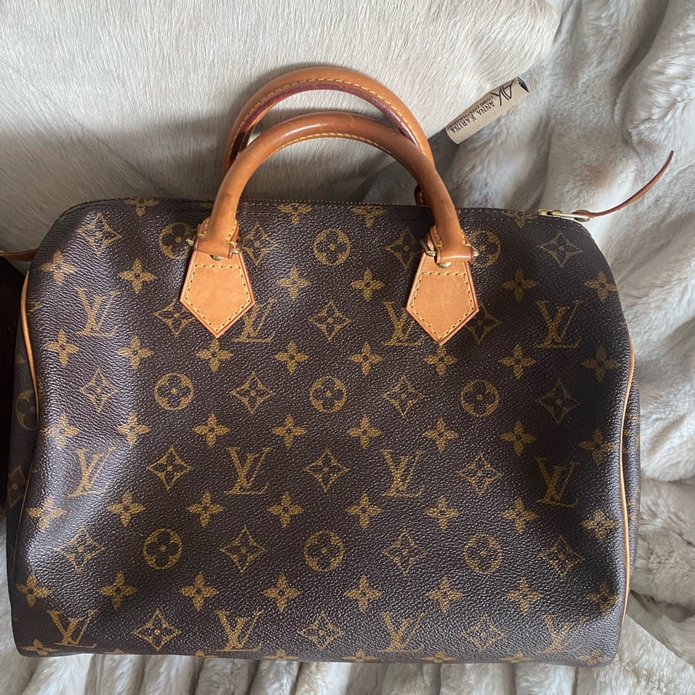 Louis Vuitton Monogram Handbag